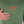 Carregar imagem no visualizador da galeria, Camiseta Overcome Star Bound Verde Militar