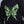 Carregar imagem no visualizador da galeria, Moletom Careca Overcome Butterfly Preto