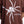 Carregar imagem no visualizador da galeria, Camiseta Overcome Spider Plus Marrom
