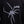 Carregar imagem no visualizador da galeria, Moletom Careca Overcome Spider Preto
