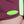 Carregar imagem no visualizador da galeria, Swimming Shorts Overcome Feminino Patch Magenta/Verde
